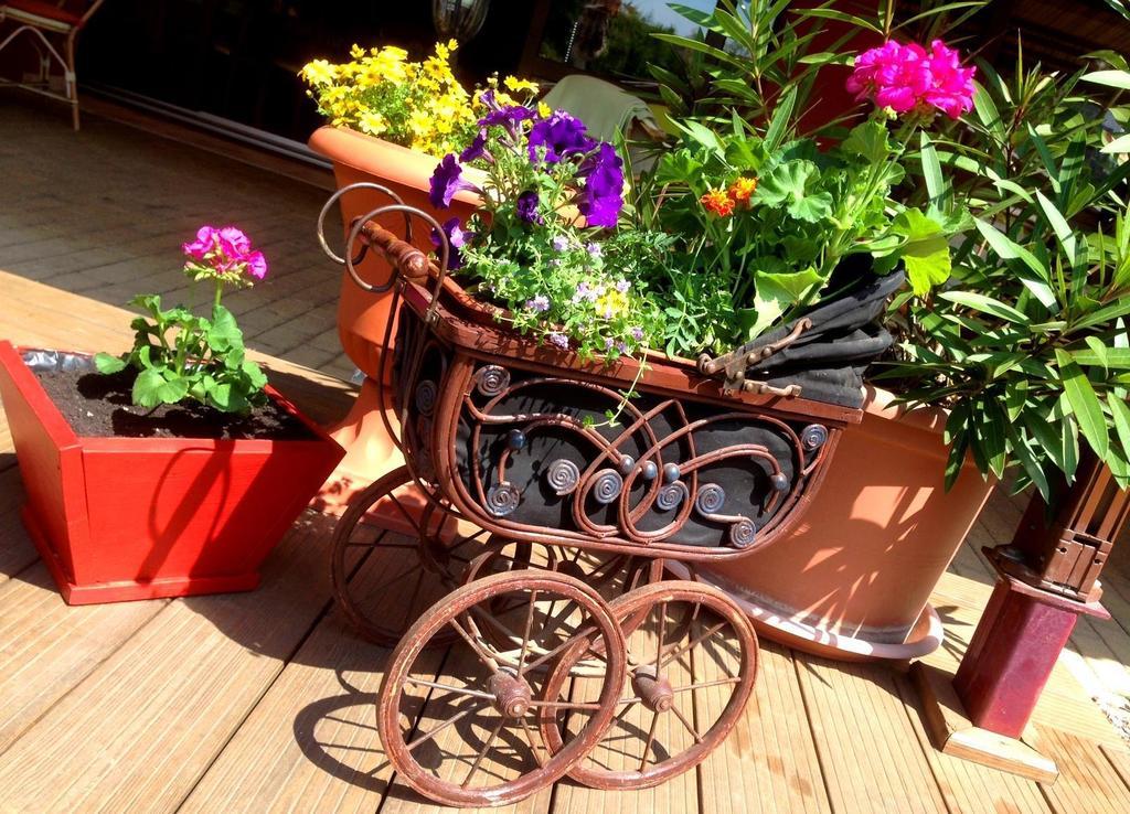 Ambrozia Etterem Es Panzio Bed & Breakfast Kazincbarcika Ngoại thất bức ảnh