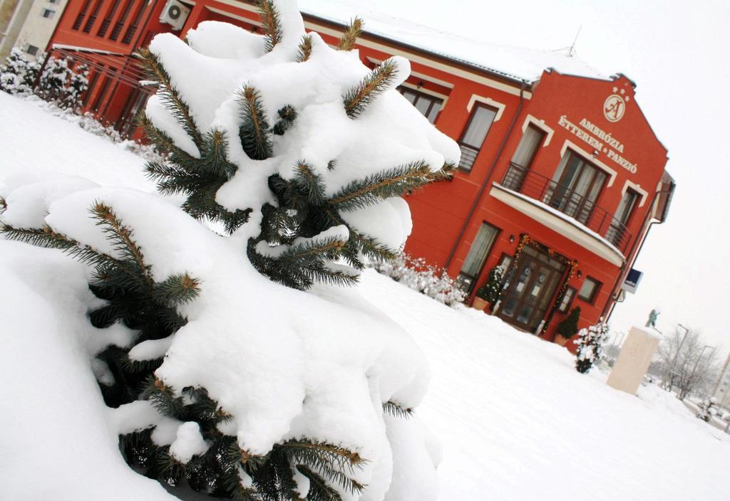 Ambrozia Etterem Es Panzio Bed & Breakfast Kazincbarcika Ngoại thất bức ảnh