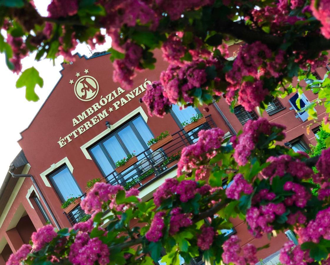 Ambrozia Etterem Es Panzio Bed & Breakfast Kazincbarcika Ngoại thất bức ảnh